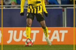 赛前多特蒙德备战NBA常规赛，止住颓势细节流出，信心回归，控场能力成焦点的简单介绍-爱游戏入口